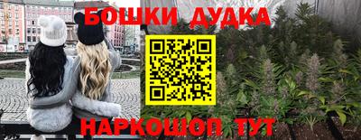 прущие крисы Новозыбков