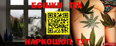 мдпв Новодвинск