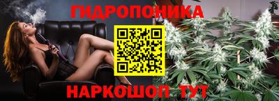 прущие крисы Новозыбков