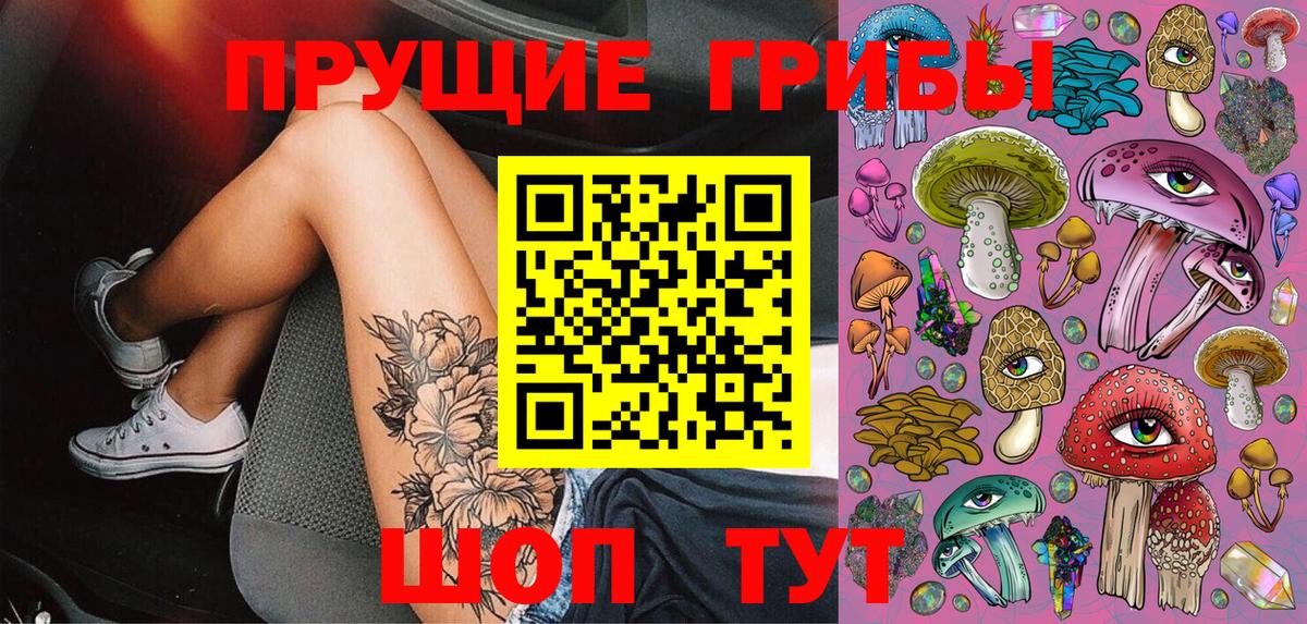 Галлюциногенные грибы Magic Shrooms  Вход с VPN  Фрязино  Псилоцибиновые грибы мицелий 